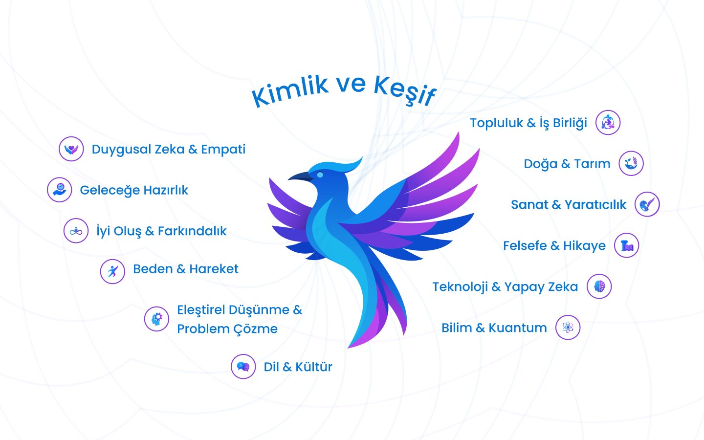 WAY Learning Illustration